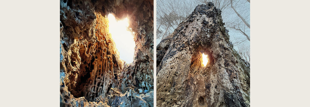 Atrium Sacrum__08.jpg